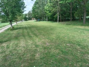 Posečený park u hasičské nádrže