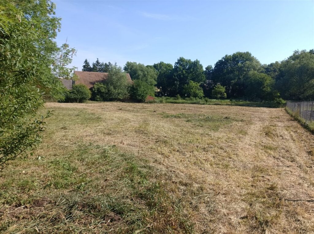 Velký pozemek po sekání trávy